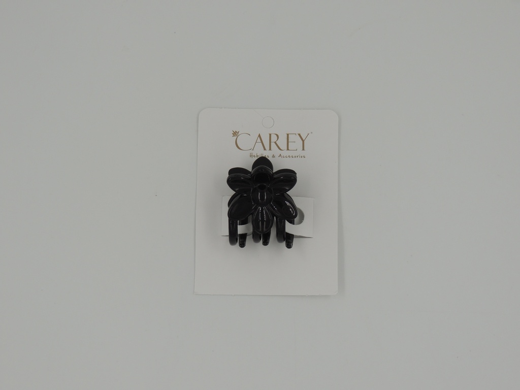 Broche para pelo carey x 6u