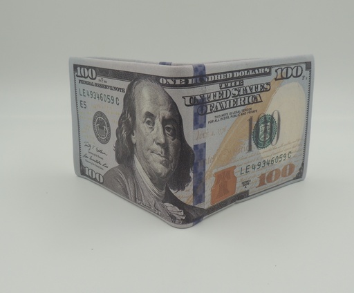 [029] Billetera hombre dolar