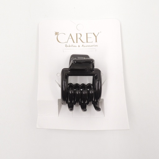 Broche Carey