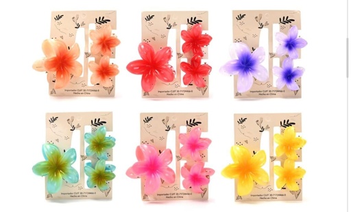 [pl-1600-18-vic] Broches flores de colores x6